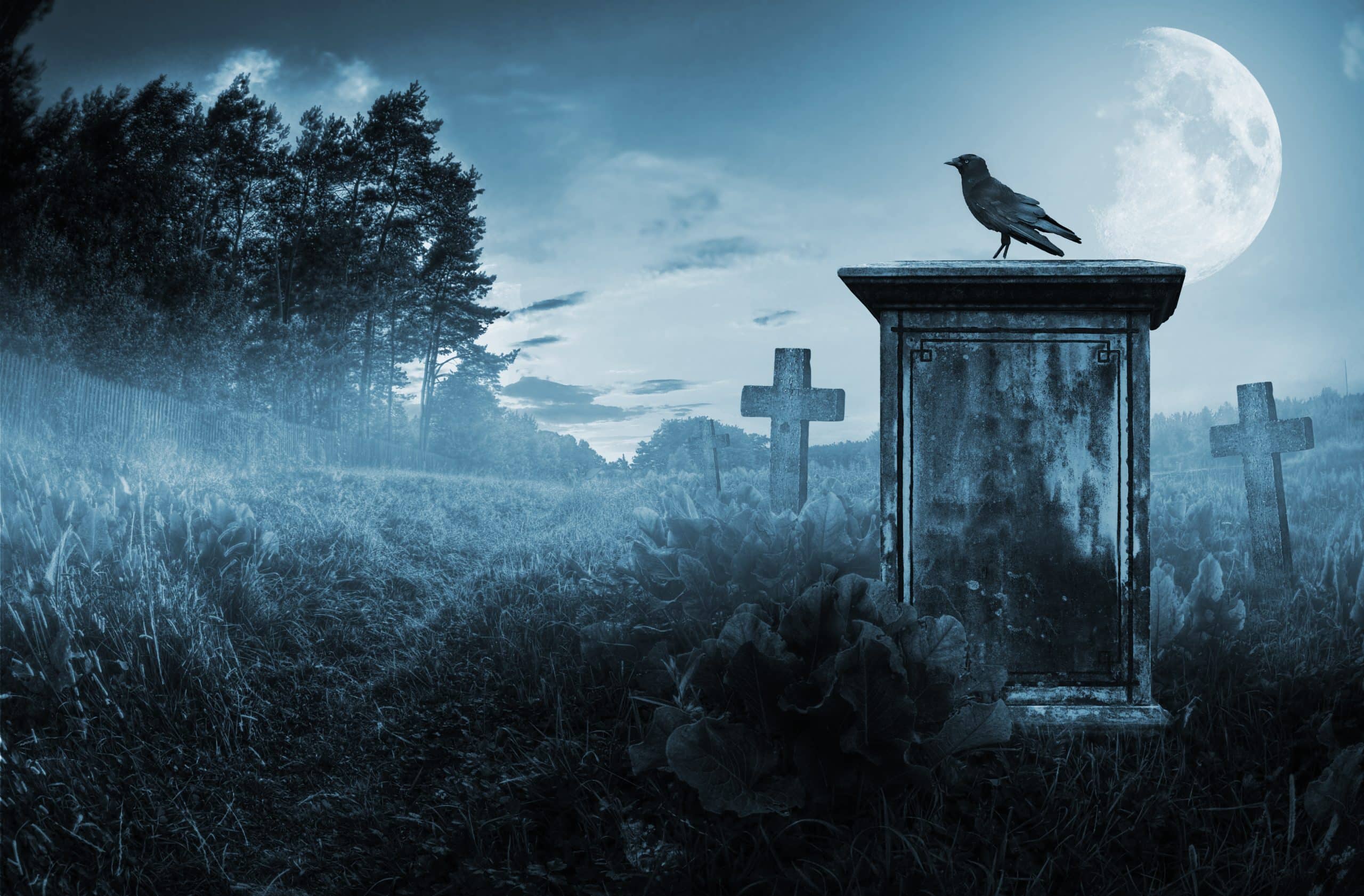 Dark blue-toned image of a cemetery with a raven in the foreground.